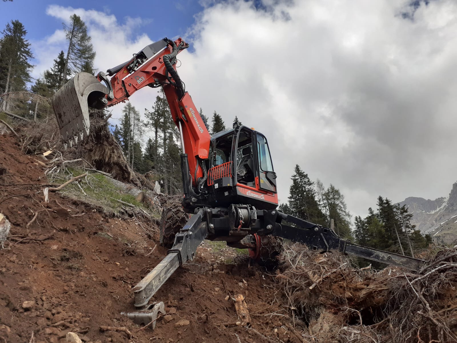 Emergency response and vegetation management