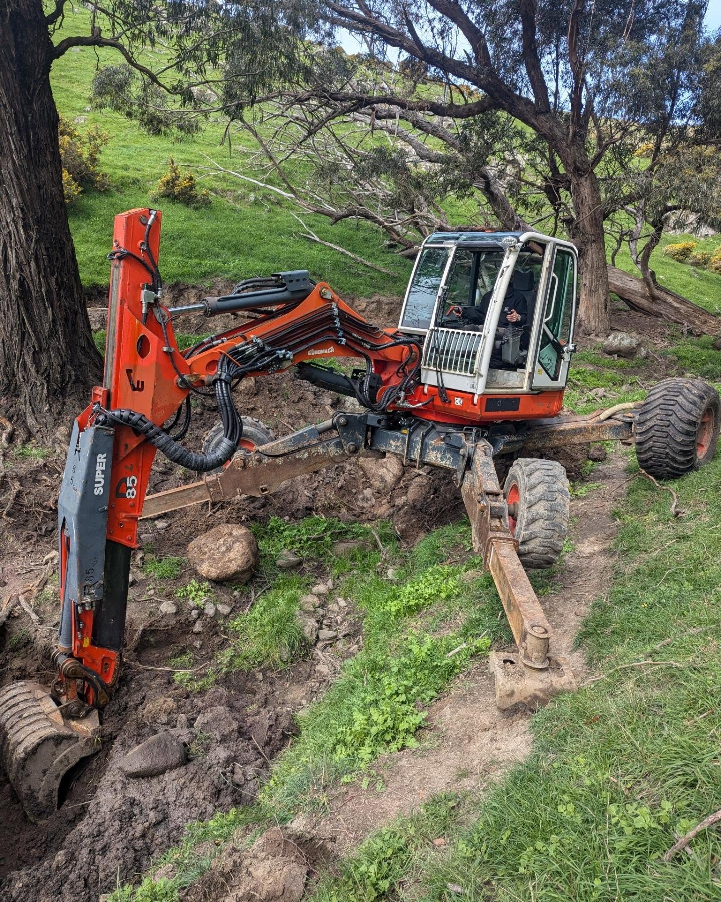 Vegetation removal and landscaping project